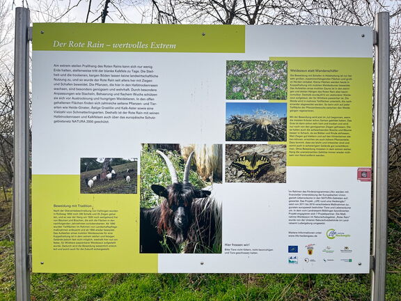 23-03-17 14-27-45 4920